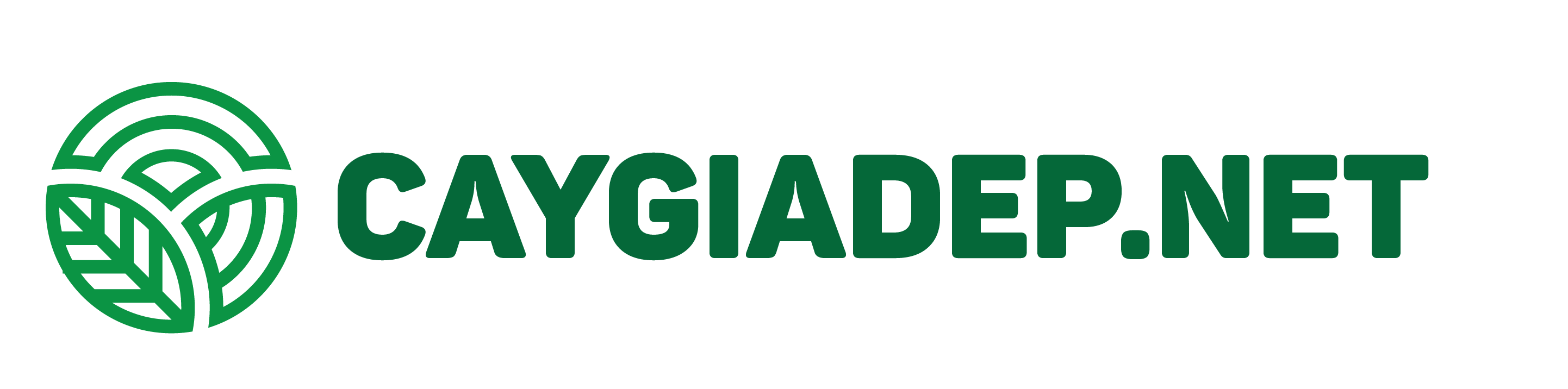 Caygiadep.net